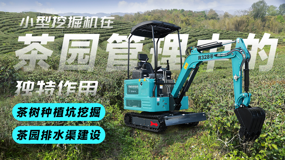 立派集团小型挖掘机在茶园管理中的独特作用:茶树种植坑挖掘与茶园排水渠建设
