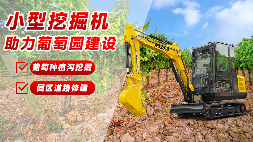 立派集团小型挖掘机助力葡萄园建设:葡萄种植沟挖掘与园区道路修建