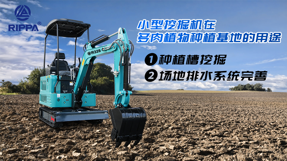 小型挖掘机在多肉植物种植基地的用途:种植槽挖掘与场地排水系统完善
