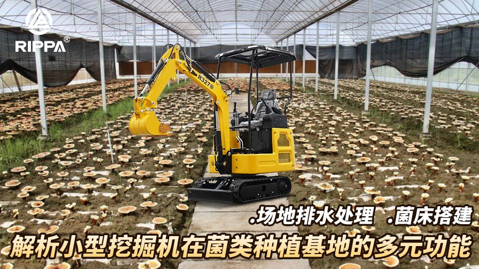 解析小型挖掘机在菌类种植基地的多元功能:菌床搭建与场地排水处理