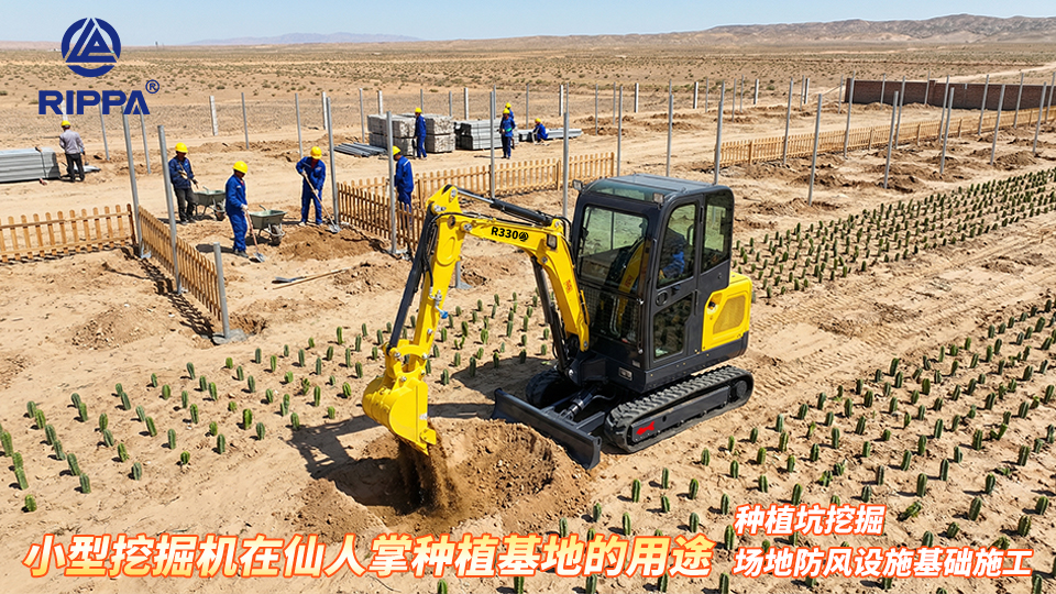 小型挖掘机在仙人掌种植基地的用途:种植坑挖掘与场地防风设施基础施工