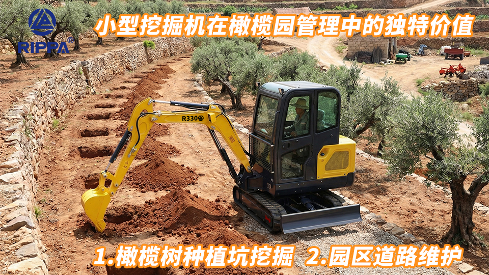 小型挖掘机在橄榄园管理中的独特价值:橄榄树种植坑挖掘与园区道路维护