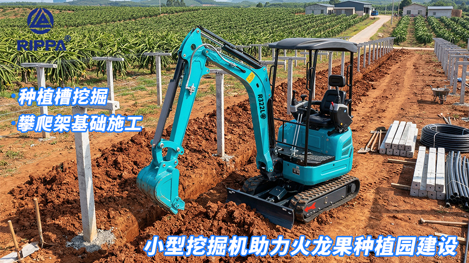 小型挖掘机助力火龙果种植园建设：种植槽挖掘与攀爬架基础施工